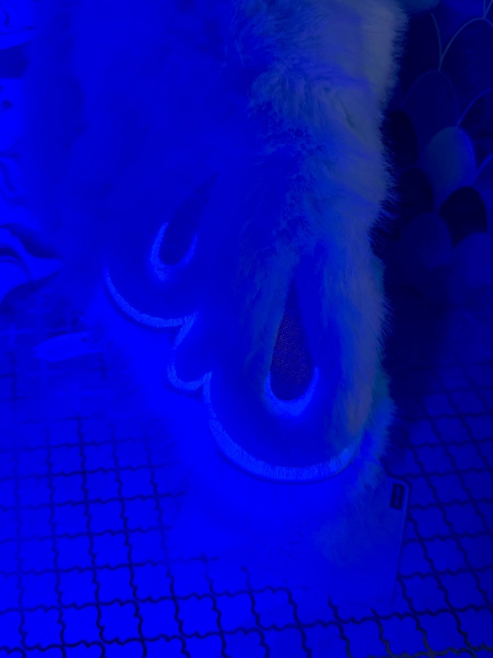 Nommi Solace 🩵 Fantasy World Blue Pink Bunny Butterfly Bag Charm Keychain Plush - Picture 11 of 12